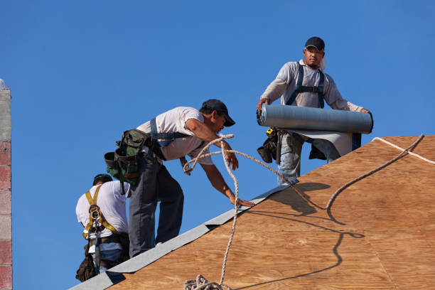 Best Gutter Installation and Roofing  in Franklin Center, NJ